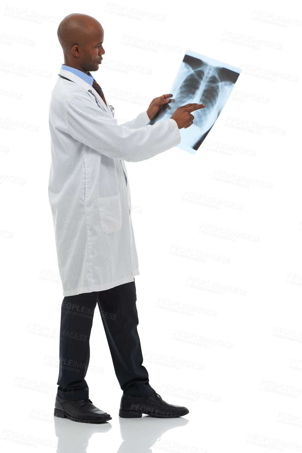 Buy stock photo Professional surgeon, xray scan and black man with MRI results of lung evaluation, clinic test or medical exam. Studio, radiologist and African doctor study anatomy assessment on white background