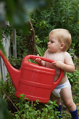 Buy stock photo An adorable baby boy watering the garden