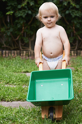 Buy stock photo Portrait, boy and kid with a wheelbarrow, gardening and nature with grass, playing and fun. Summer, backyard and toy with child development, baby and countryside with plants, growth and happiness