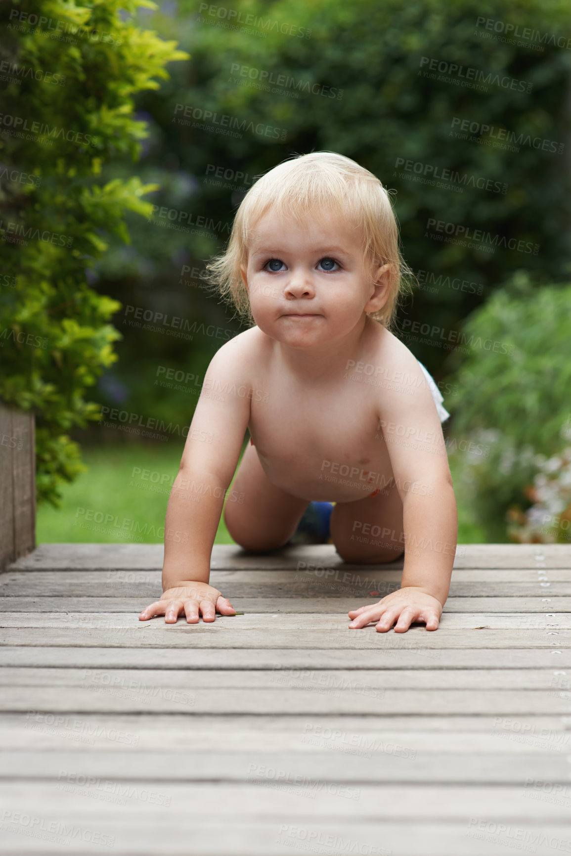 Buy stock photo A baby crawling along a wooden surface in a garden