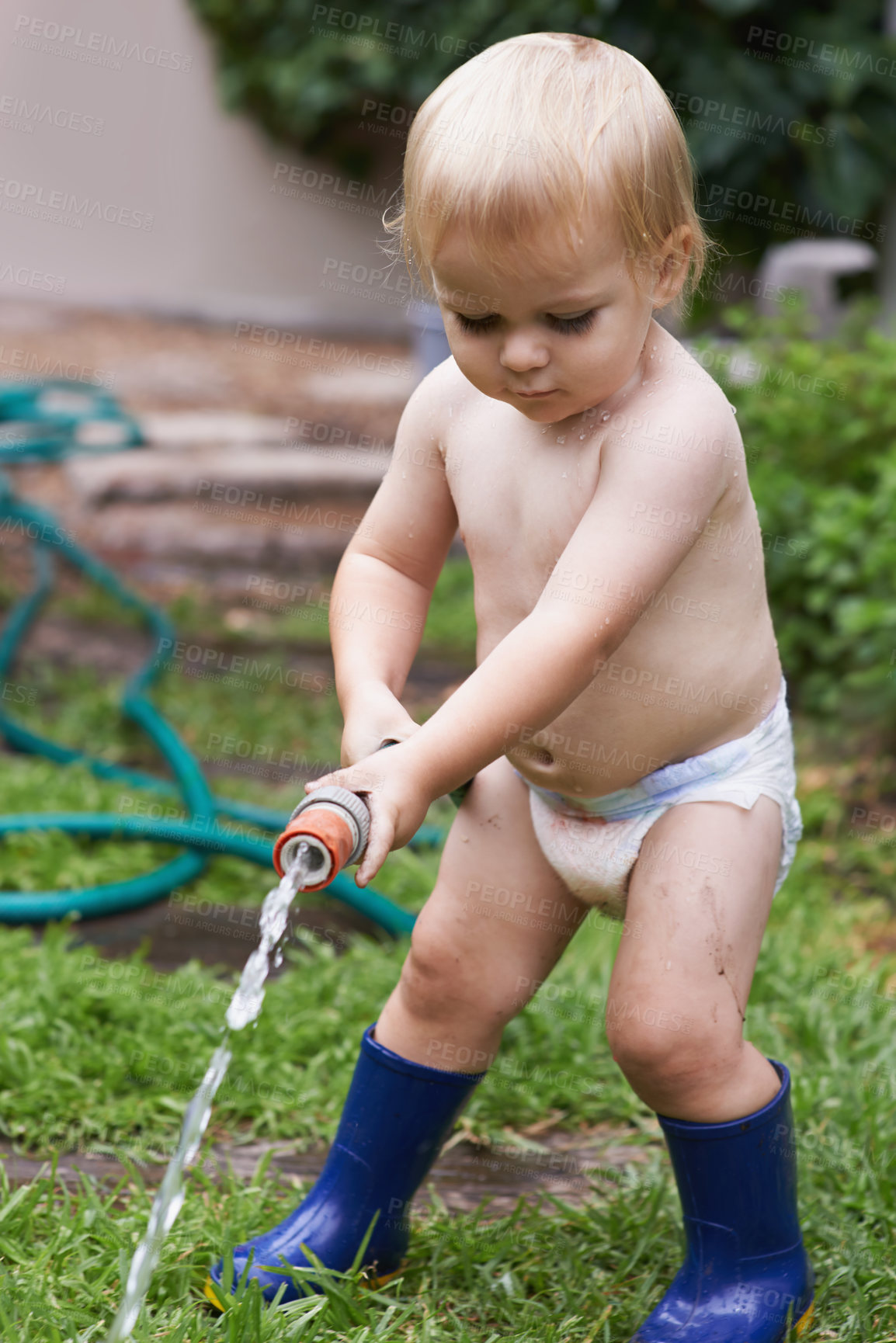 Buy stock photo Baby, playing with hose and water, backyard and  development with growth, curiosity and home. Toddler, child and infant in garden, alone and childhood for wellness, milestone and coordination