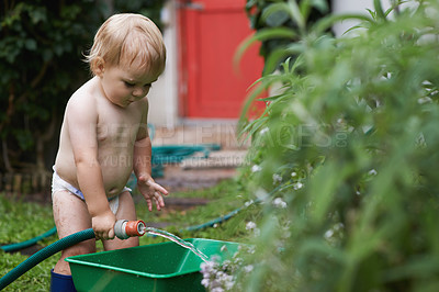Buy stock photo Boy, playing with hose and gardening, water and  development with bucket, curiosity and backyard. Toddler, child and infant in garden, alone and childhood for skills, growth and coordination