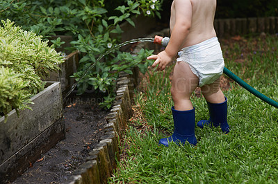 Buy stock photo A young toddler watering the garden