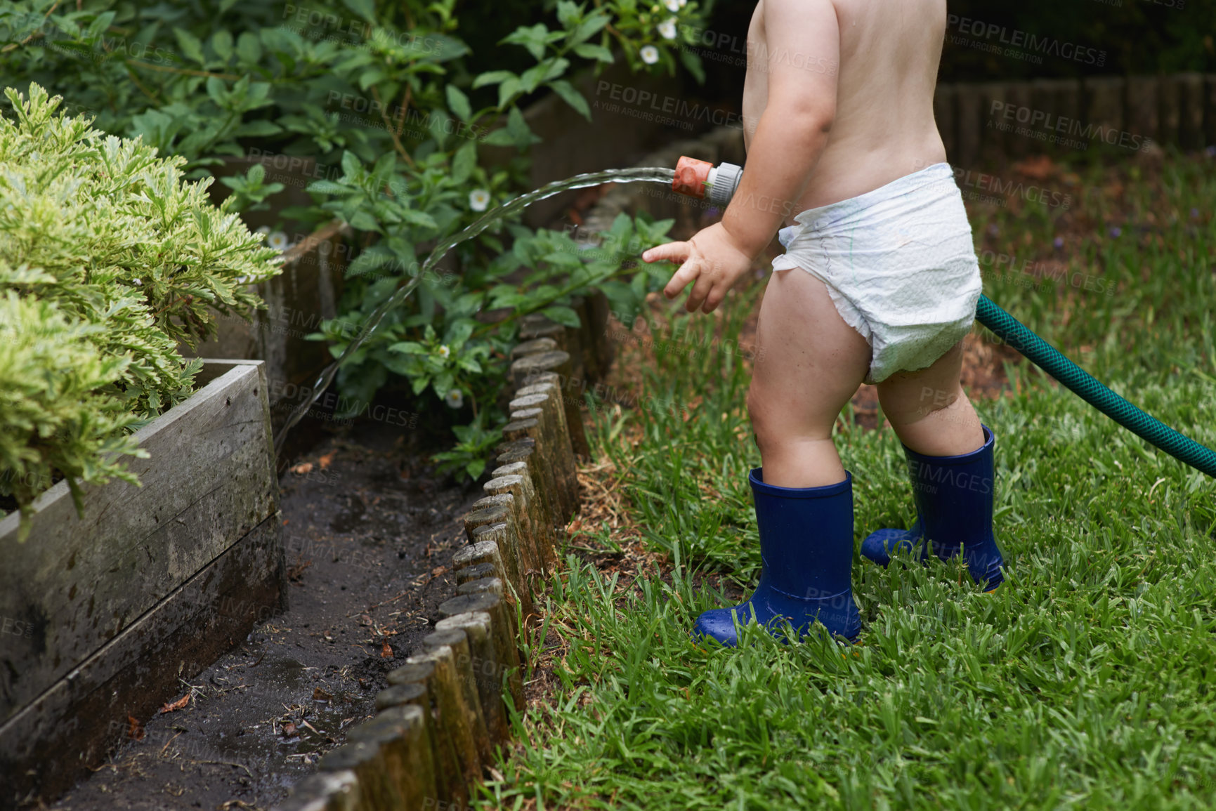 Buy stock photo A young toddler watering the garden