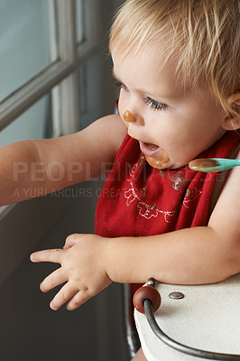 Buy stock photo Cute, feeding and baby eating porridge in high chair for nutrition, health and wellness at home. Sweet, playing and girl kid, infant or toddler enjoying puree food for child development at house.