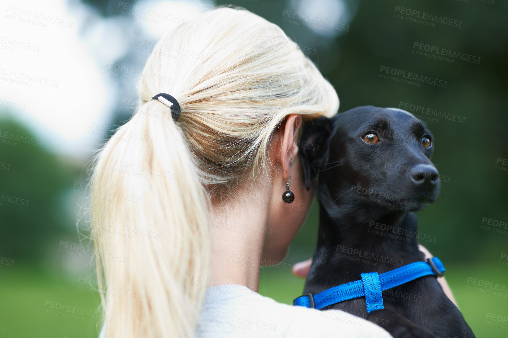 Buy stock photo Woman, dog and animal love at field park or together bonding, training on backyard grass. Female person, pet and hug puppy as owner or health exercise or relax in garden, care trust or friendship