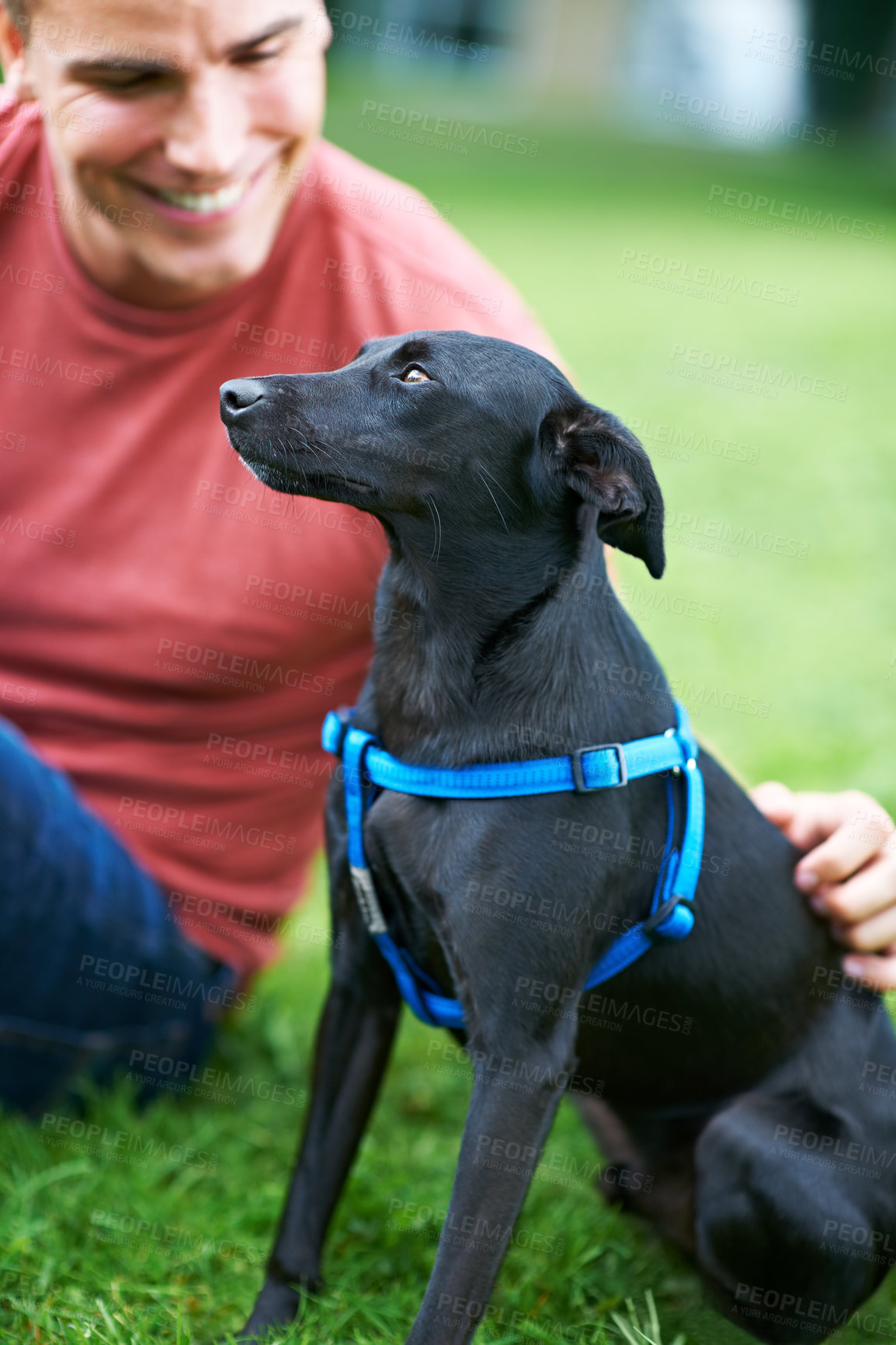 Buy stock photo A young man playing with his dog outdoors