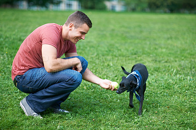 Buy stock photo A young man playing with his dog outdoors