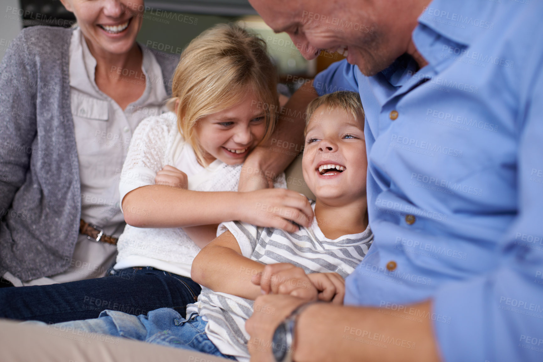 Buy stock photo A happy little boy laughing while spending time with his family