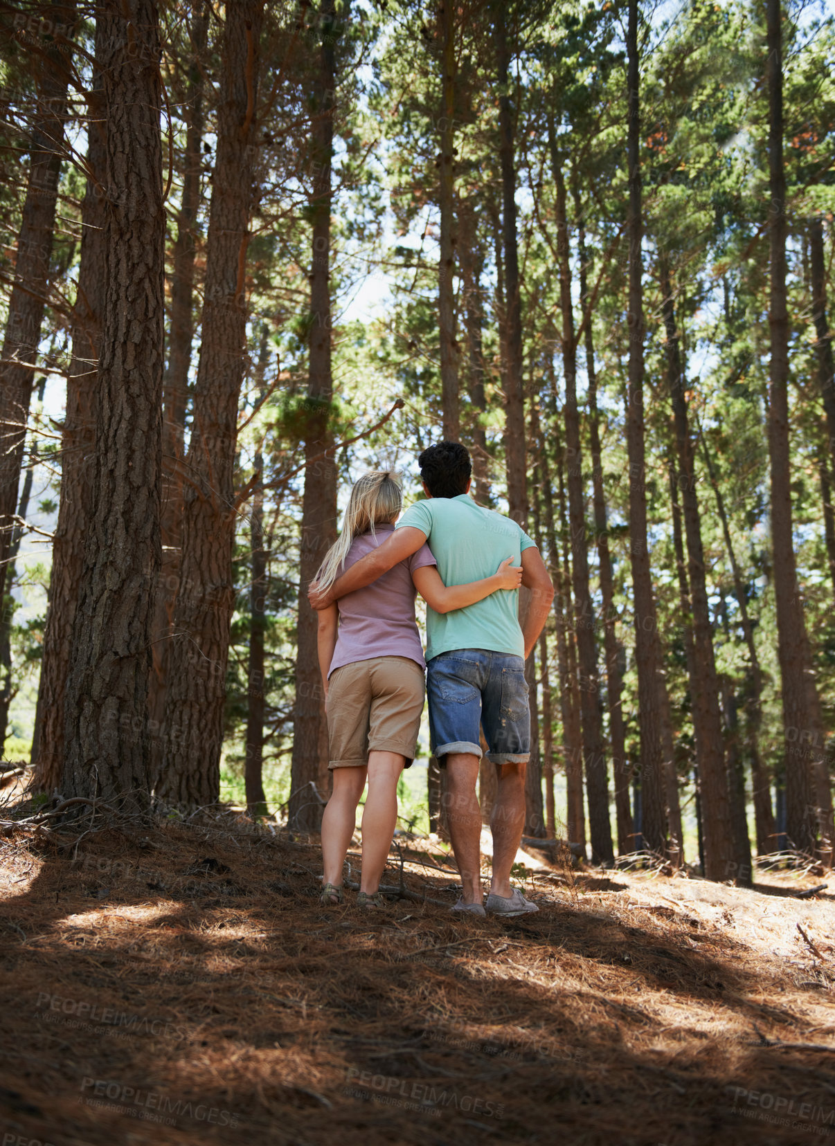 Buy stock photo Couple, hiking and hug in forest for love, embrace or support in trust, care or bonding in nature. Rear view or back of young man and woman in romance, affection or walking together in outdoor woods