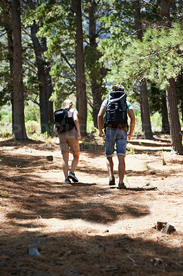 Buy stock photo Couple of friends walking, trekking in nature and travel fitness, adventure or cardio in forest with wellness. Back of people hiking with backpack on path, eco friendly and carbon footprint journey