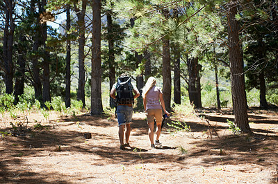 Buy stock photo Couple of friends walking, hiking in nature and travel fitness, adventure or cardio in forest with wellness. Back of people trekking with backpack on path, eco friendly and carbon footprint journey
