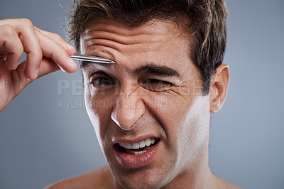 Buy stock photo Plucking, eyebrow and portrait of man with tweezers, hair removal and pain in grey background of studio. Beauty, epilation and person with grooming routine and treatment for self care with tools