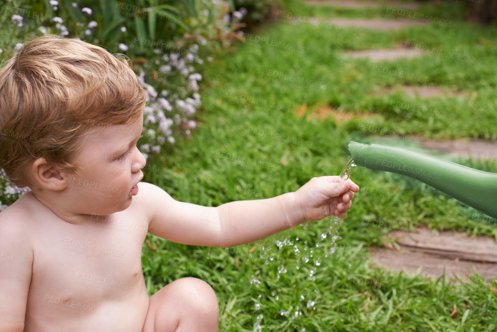Buy stock photo Cute toddler fascinated by a watering can in the garden