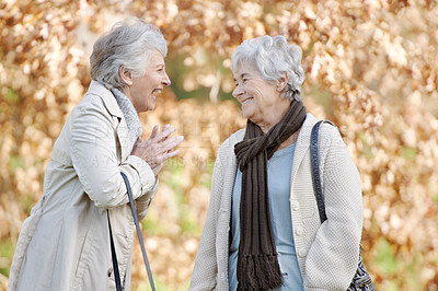 Buy stock photo Senior women, laugh and conversation in park by autumn leaves, together and bonding on retirement in outdoor. Elderly friends, funny joke and comedy on vacation in england, care and social in nature