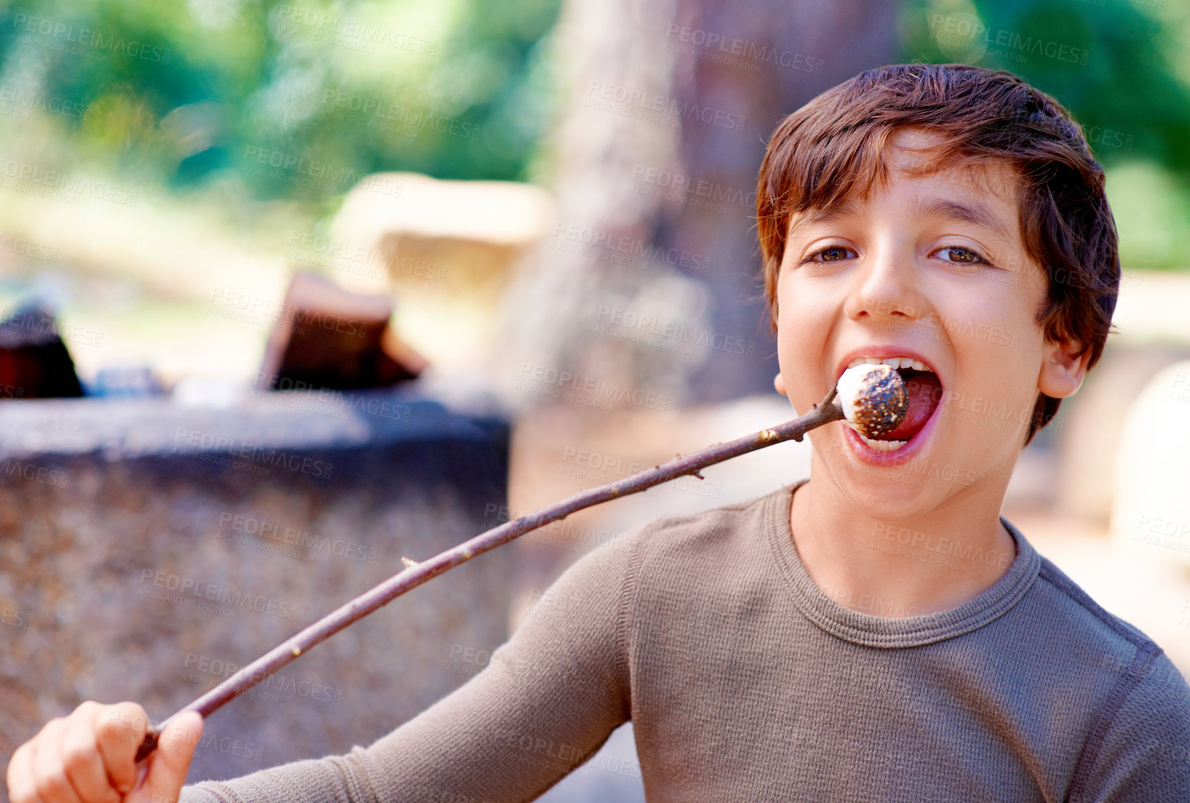 Buy stock photo Boy, camping or eating a marshmallow in portrait, hungry or fire roast candy in forest. Young child, summer break or smile on face for sugar snack, hiking or nature for holiday adventure or treat