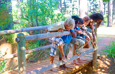 Buy stock photo Children, forest and bridge with outdoor activity, fun and playing on weekend break and summer. Diversity, youth and group with nature and fresh air with happiness and bonding together with hobby