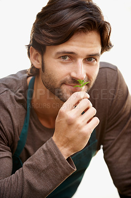 Buy stock photo Mexican man, portrait and smelling plant for farming, gardening and agriculture by a white background. Farmer, studio and ecology for growth, produce and eco friendly harvest for future cultivation 