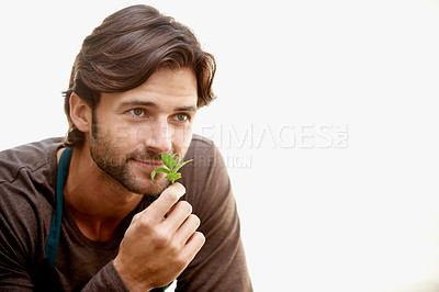 Buy stock photo A handsome bearded man smelling fresh herbs