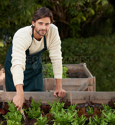 Buy stock photo Portrait, gardener and smile with lettuce for harvest, growth or production in outdoor nursery. Man, leaning and boxes with vegetables for agriculture, cultivation or picking in organic shop