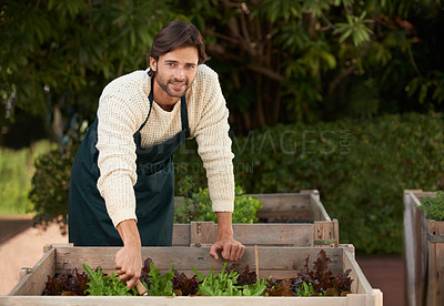 Buy stock photo Man, smile and work in garden with plant box for growth, development and nurture of vegetables in Australia. Male person, happy and farming outdoors for hobby, food or production of agriculture