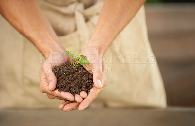 Buy stock photo Cropped shot of a man holding a small seedling in his cupped hands