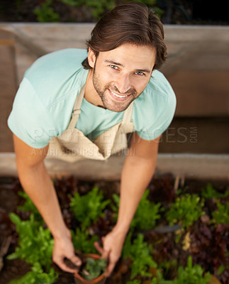 Buy stock photo Man, happy and portrait with plant for agriculture, growth and harvest from above. Male gardener, smiling and soil in container for cultivation, weeding or eco friendly horticulture in greenery shop