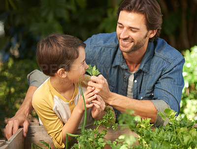 Buy stock photo Shot of a father and his son doing some gardening together