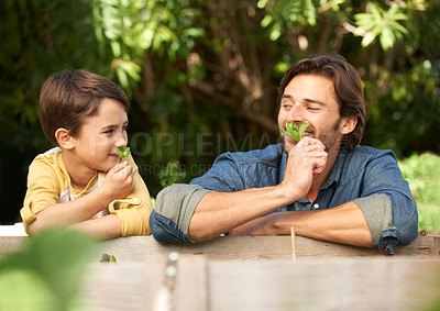 Buy stock photo Shot of a father and his son spending time together in the garden