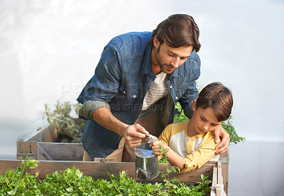 Buy stock photo Parent, kid and water plants in greenhouse for organic vegetables, sustainability and healthy greenery. Father, son and teach to grow greenery, garden and nurture agriculture for environment