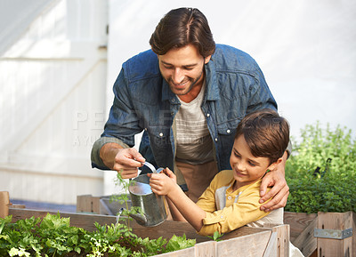 Buy stock photo Shot of a father and son watering the plants in their herb garden