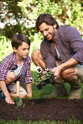 Buy stock photo Shot of a father and son planting flowers in the garden