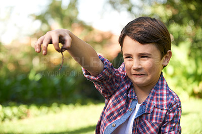 Buy stock photo Shot of a cute little boy holding up an earthworm he found in the garden