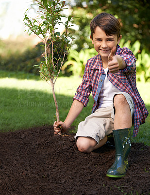 Buy stock photo Thumbs up, portrait and child gardening with tree in nature for soil ecology and development education. Kid, happy and planting in yard and playing with success in environmental landscaping leisure 