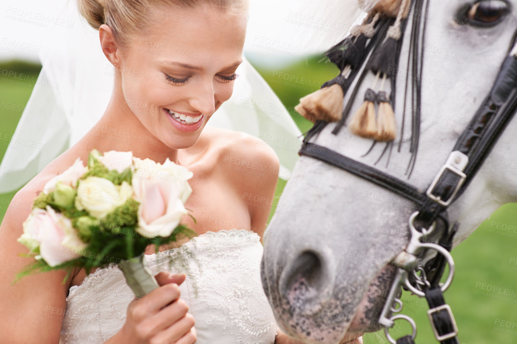 Buy stock photo An attractive young bride outside with her horse