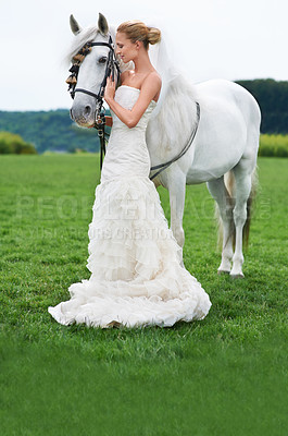Buy stock photo Bride, horse and field with wedding, event and animal for marriage, celebration and happiness. Woman, uk countryside and meadow with spring, sky and nature for smile, love with beauty and grass