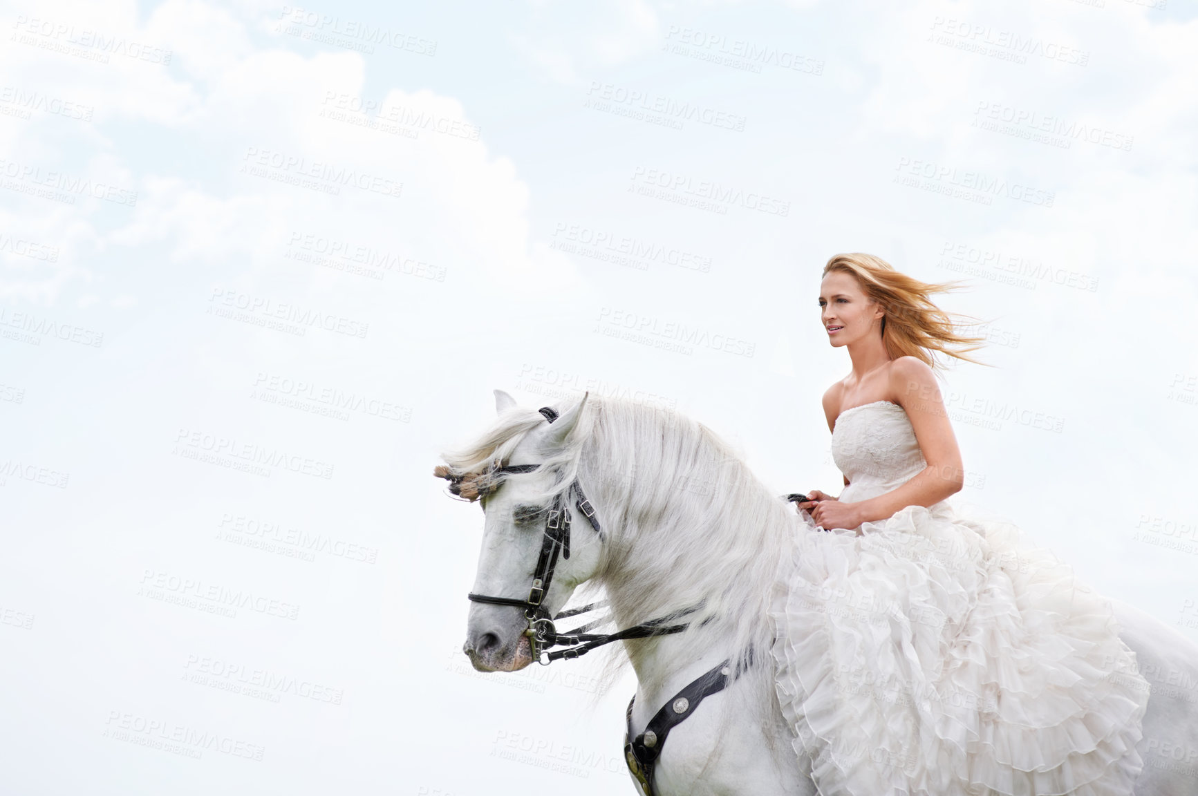 Buy stock photo An attractive young bride outside with her horse