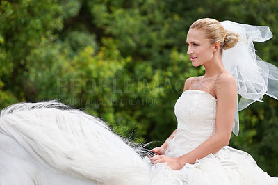 Buy stock photo A gorgeous young bride riding a white horse on her wedding day