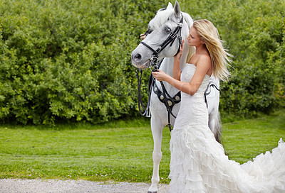 Buy stock photo A stunning young bride giving her beautiful stallion some affection