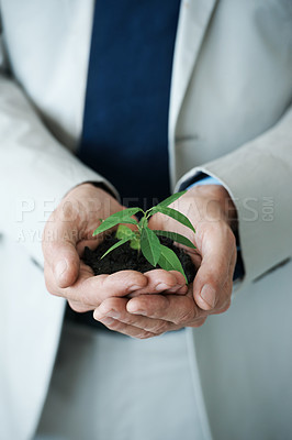 Buy stock photo Businessman, plant and growth for investment, future and sustainability for collaboration. Entrepreneur, soil and closeup for green business, development and recycling for enterprise and nature