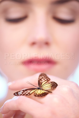 Buy stock photo Beauty, skincare and butterfly on hand of woman closeup in studio for natural wellness or treatment. Skin, nature or sustainability and person with insect for environmental cosmetics or dermatology