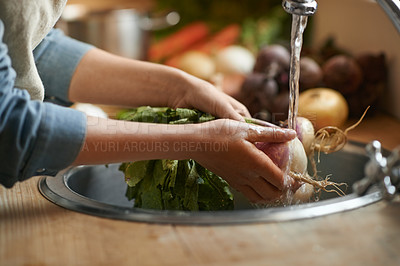 Buy stock photo Hands, sink and water to clean vegetables in kitchen, health and hygiene with chef cooking food and closeup. Turnip, nutrition and organic for meal, vegan or vegetarian with person washing produce
