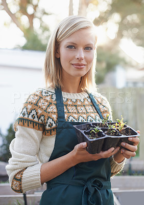 Buy stock photo Gardening, seedling and portrait of woman with plants for landscaping, planting flowers and growth. Agriculture, nature and face of person outdoors for environment, ecology and nursery in garden