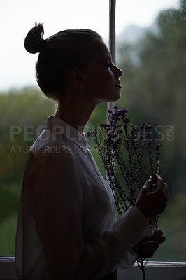 Buy stock photo Calm woman, flowers and lavender scent by window for natural growth, plant or smell at home. Female person holding stem or branch of floral scented herb for fragrance or remedy in dark room at house