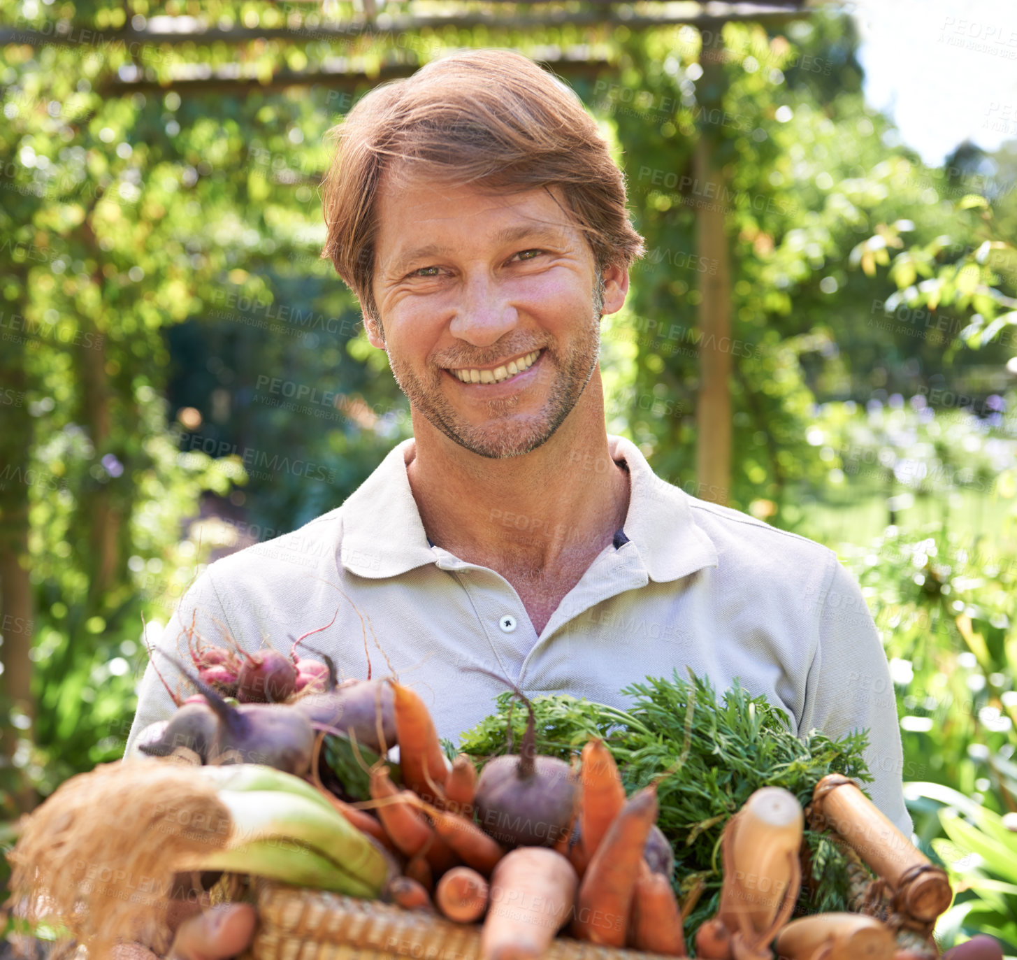 Buy stock photo Farmer, portrait and basket for vegetables agriculture for small business or gardening, production or sustainability. Male person, face and carrots or beetroot for eco friendly, nutrition or diet