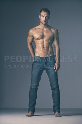 Buy stock photo Portrait, fashion and body with a man model in studio on a gray background for trendy jeans style. Shirtless, muscular and masculine with a sexy male person posing topless for health or sensuality