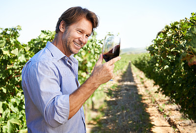 Buy stock photo Shot of a handsome mature man tasting wine outside in a vineyard
