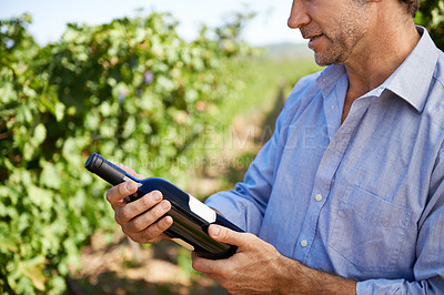Buy stock photo Shot of a handsome mature man tasting wine outside in a vineyard