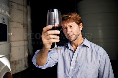 Buy stock photo Shot of a handsome mature man standing in a wine cellar with a glass of wine