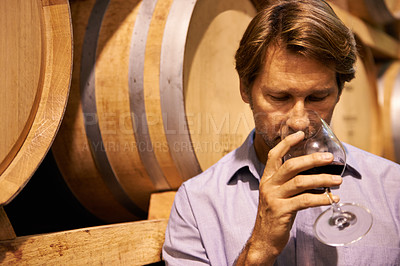 Buy stock photo Wine, taste and a man in the cellar of a distillery on a farm for the production or fermentation of alcohol. Glass, industry and barrel with a male farmer drinking a beverage for quality control